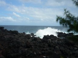 Visite de la petite cousine !